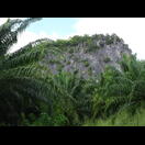 Wir haben das Gebiet der Kalksteinfelsen noch nicht verlassen